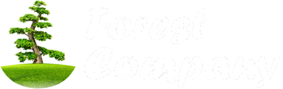 FOREST COMPANY